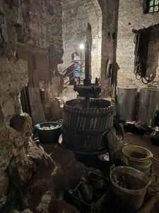 festa del vino
